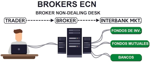broker ecn infografia esquema